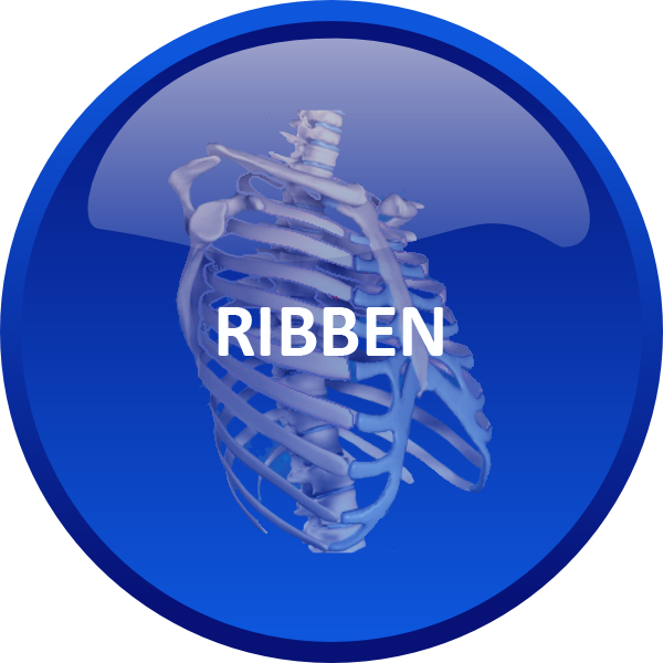 RIBBEN