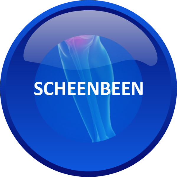 SCHEENBEEN